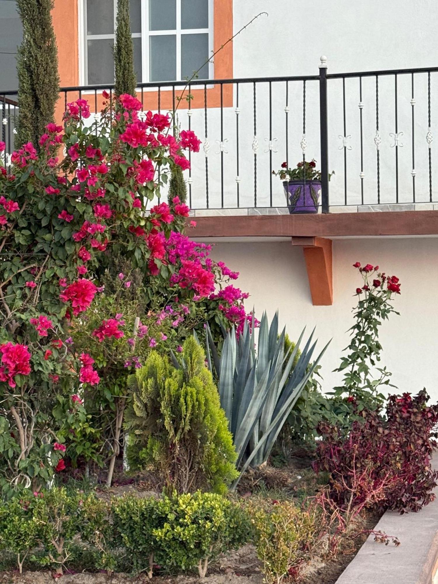 Hotel La C San Jose Iturbide Exterior photo